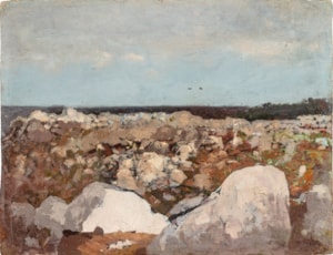 Landscape